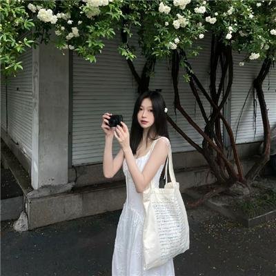动画纪录